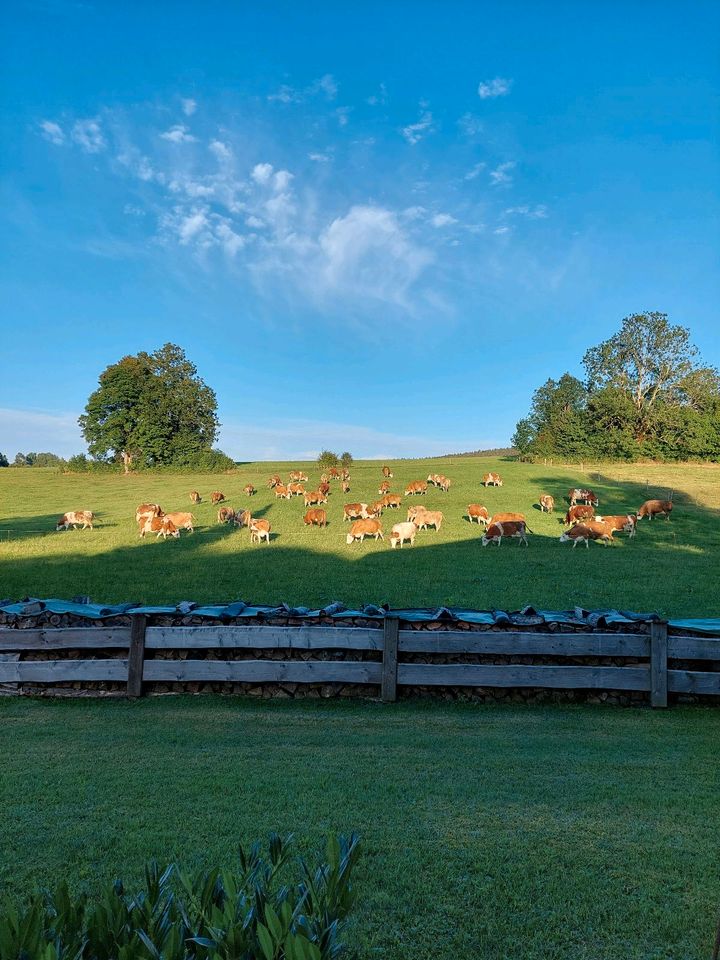 Zimmer auf Zeit in Warngau