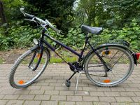 Fahrrad Damen Essen - Essen-Stadtwald Vorschau