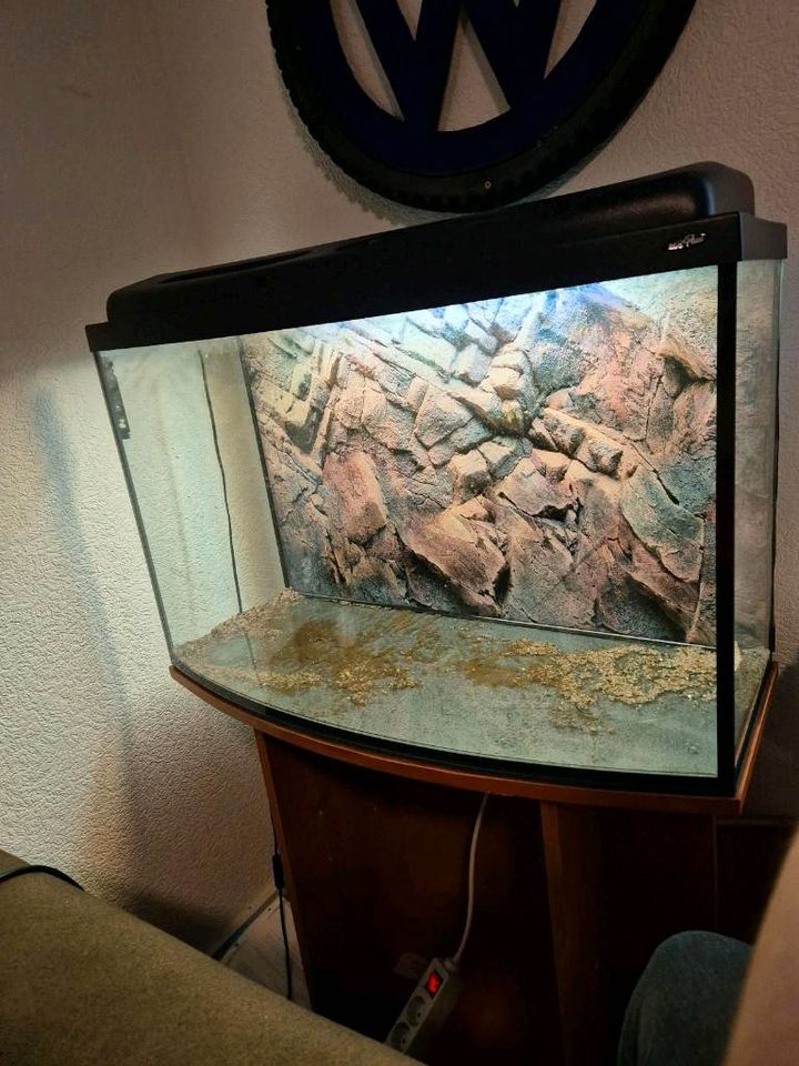 100 liter aquarium in Nümbrecht