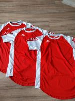 Trainingsshirt ~ Sportshirt ~ T-Shirt ~ erima ~ rot ~ 164 Rheinland-Pfalz - Asbach Vorschau