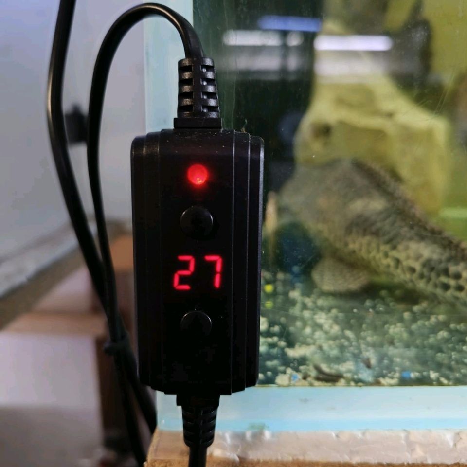 Aquarium Heizer 300W Neuware in Frohburg