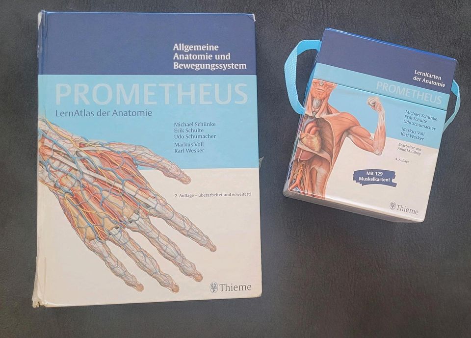 Prometheus - Allgemeine Anatomie und Bewegungssystem und Lernkart in Schwerte