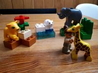 Lego Duplo Ville 4962 - Tierbabies - inkl. Versand Altona - Hamburg Rissen Vorschau