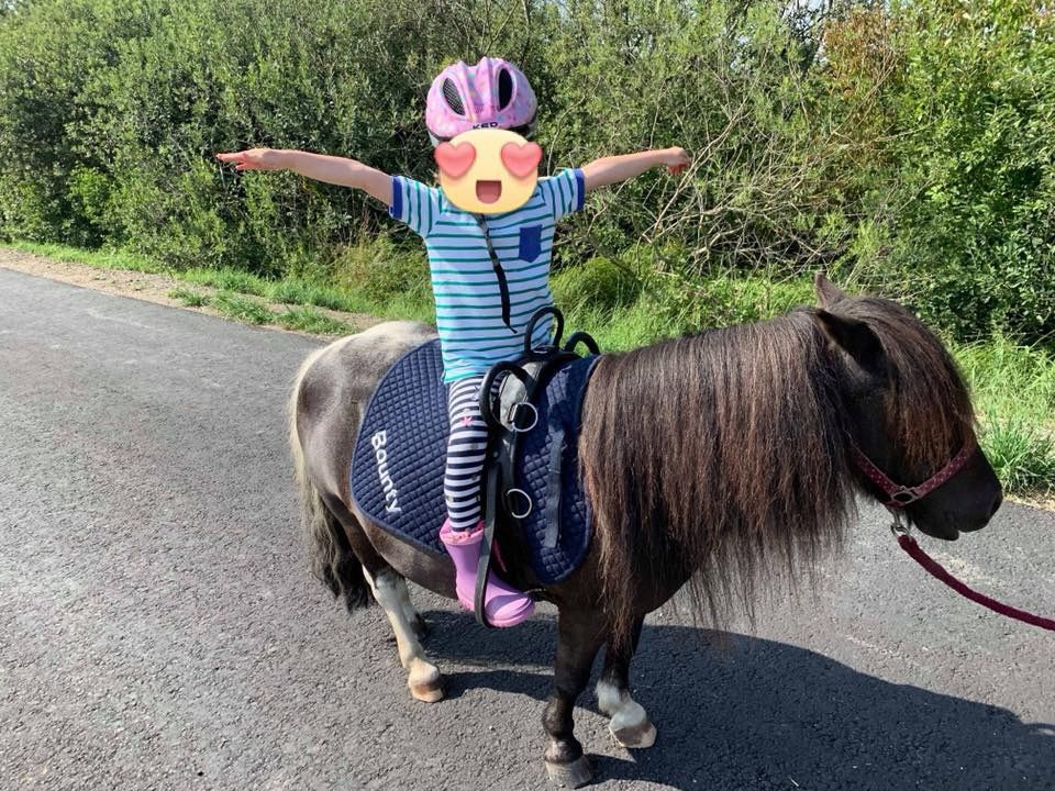 Pädagogisches Pony reiten in Heppenheim (Bergstraße)