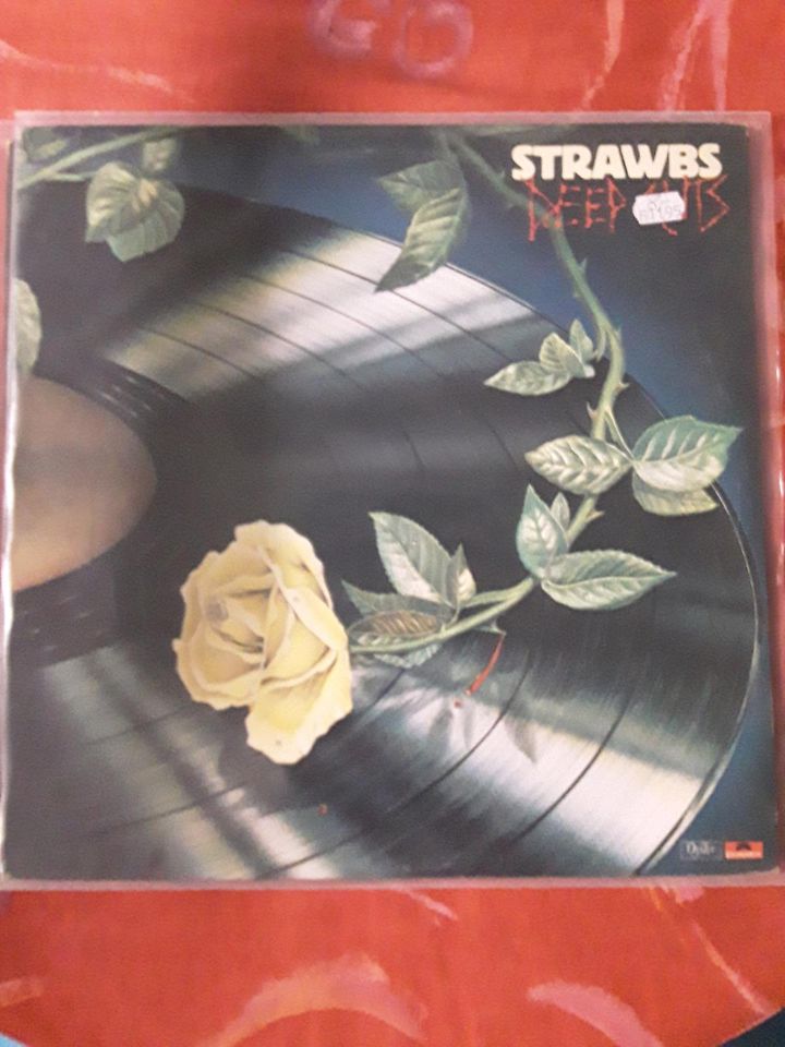 Vinyl Schallplatten  Sammlung  Strawbs in Moers