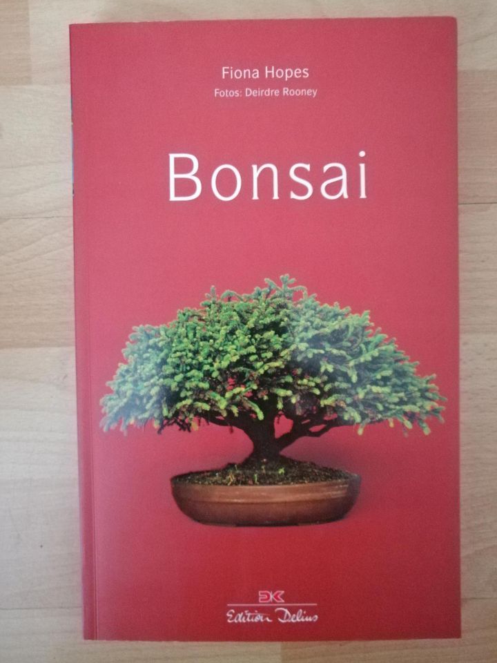 Bonsai von Fiona Hopes in Stuttgart