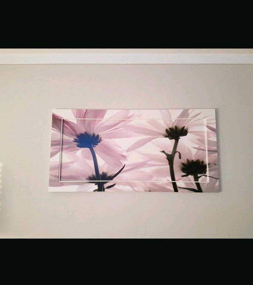 Wandbild Leinwandbild 120 x 60 cm Blumen in Hartmannsdorf bei Eisenberg