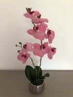 Künstliche Orchidee aus Silikon neuwertig Bayern - Bobingen Vorschau