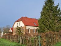 Zwei Doppelhaushälften mit Weitblick in die Natur! Sachsen-Anhalt - Prosigk Vorschau