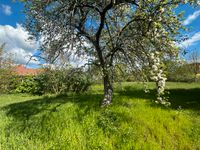 Exklusives Baugrundstück in Hohen Neuendorf, Idyllisch & ruhig gelegen im Mädchenvirtel Brandenburg - Hohen Neuendorf Vorschau