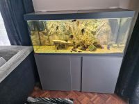 Aquarium 240l mit unterschrank von eheim Bayern - Kaufbeuren Vorschau