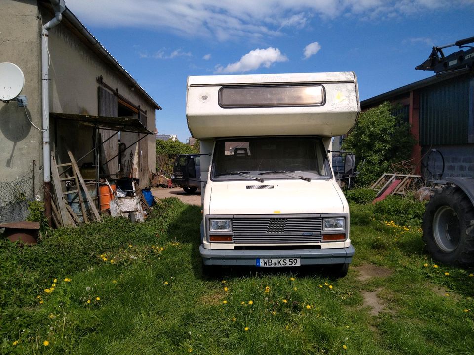 Wohnmobil Fiat Autark Solar Camper Tüv Neu 125tkm in Oranienbaum-Wörlitz