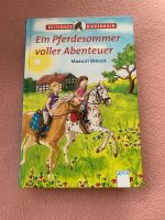 Ein Pferdesommer voller Abenteuer Reiterhof Birkenhain Kinderbuch Frankfurt am Main - Praunheim Vorschau