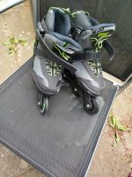 Inlineskates Größe 37-41 Nordrhein-Westfalen - Vlotho Vorschau