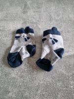 Baby Socken  Gr.  12-14 Nordrhein-Westfalen - Enger Vorschau