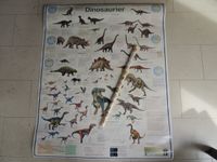 Plakate Lernposter Poster Dinosaurier Englisch Brandenburg - Paulinenaue Vorschau