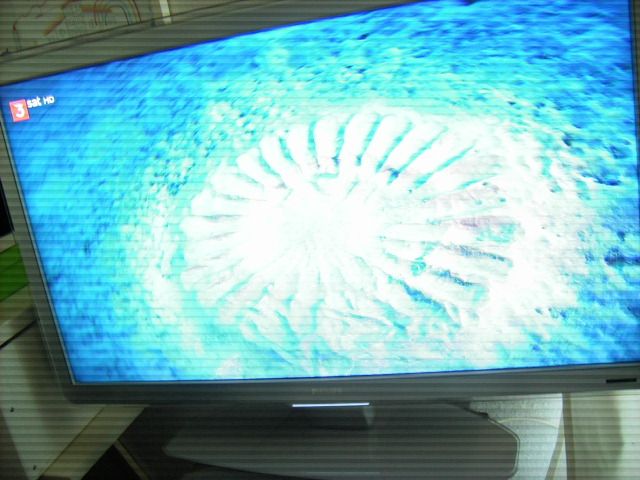 LED Fernseher, Philips, 42 Zoll in Wickede (Ruhr)
