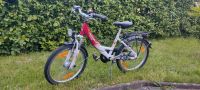 Kinderfahrrad Pegasus Avanti, 20 Zoll, 7 Gänge Bayern - Walsdorf Vorschau