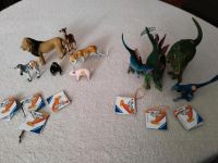 Tiptoi Tiere 2 Sets- Zootiere und Dinos Rheinland-Pfalz - Niederwambach Vorschau