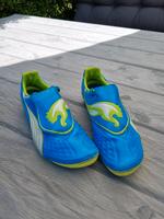 Puma Fußball Schuhe gr 39 Sachsen - Frankenberg (Sa.) Vorschau