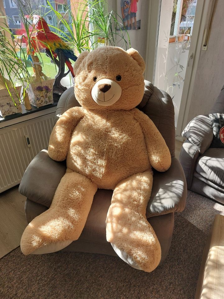 Großer Teddy in Duisburg