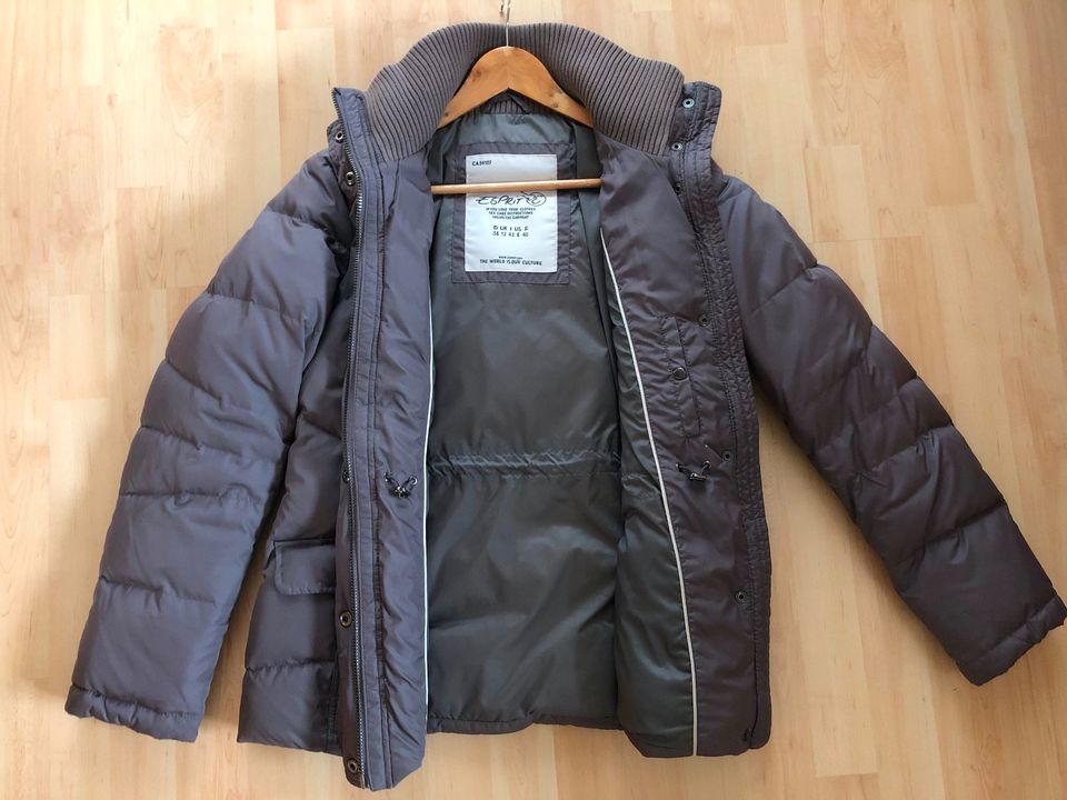 Winterjacke Daunenjacke grau Gr. 38 Esprit in Bielefeld