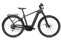 Flyer Gotour 7.10 E-Bike (Pedelec) Diamant oder Wave Rahmen Niedersachsen - Leer (Ostfriesland) Vorschau