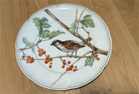 Villeroy & Boch Passer domesticus 1987 Sperling Saarland - Mettlach Vorschau