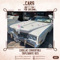 Cadillac Cabrio Hochzeitsauto Hochzeitswagen Oldtimer mieten Niedersachsen - Großefehn Vorschau