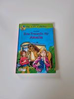 Kinderbuch - Eine Freundin für Amelie Rheinland-Pfalz - Salz (Westerwald) Vorschau