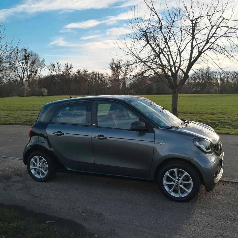 Smart ForFour Basis 66kW PANORAMA~TEMPOMAT~SHZ~PDC in Stuttgart