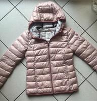 Leichtsteppjacke Steppjacke Q/S rosé Gr.XS Hessen - Witzenhausen Vorschau