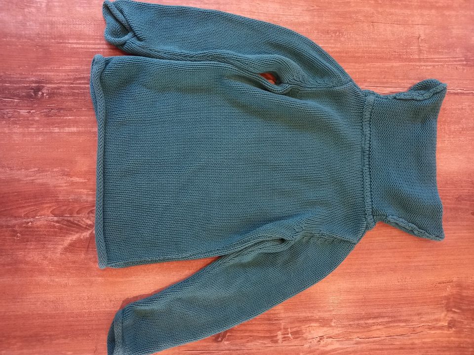 Rollkragenpullover Pullover Strickoptik Pferdekopf Kids 110/116 in Kohren-Sahlis