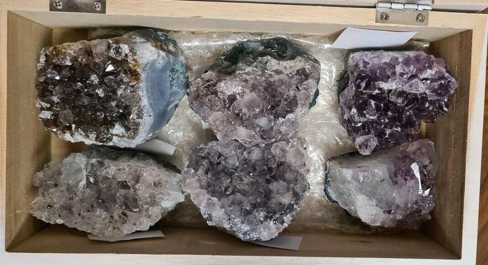 Amethyst Sammlung mit 6 Edelstein Drusen im Holzkästchen in Dresden