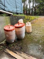 Most und Maischefass Tonne Wassertonne Regentonnee Baden-Württemberg - Owingen Vorschau