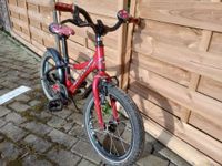 Kinderfahrrad 16 Zoll Rock Machine Leipzig - Altlindenau Vorschau