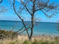 Grundstück Ostsee NUR direkte Wasserlage Kauf oder Pacht Hauskauf Nordwestmecklenburg - Landkreis - Boltenhagen Vorschau