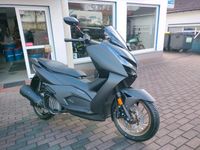 Zontes Scooter 125 D   NEU vom Vertragshändler Hessen - Waldems Vorschau