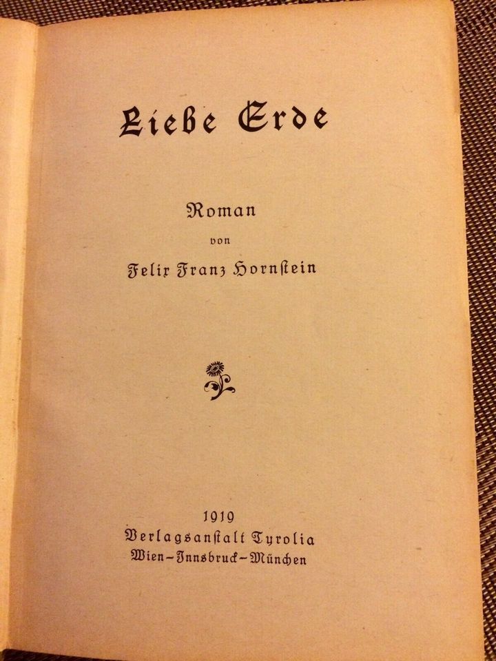 Liebe Erde Roman von Franz Hornstein 1919 in Köln