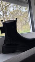 Chelsea Boots Buffalo Stiefeletten NEU Niedersachsen - Wildeshausen Vorschau