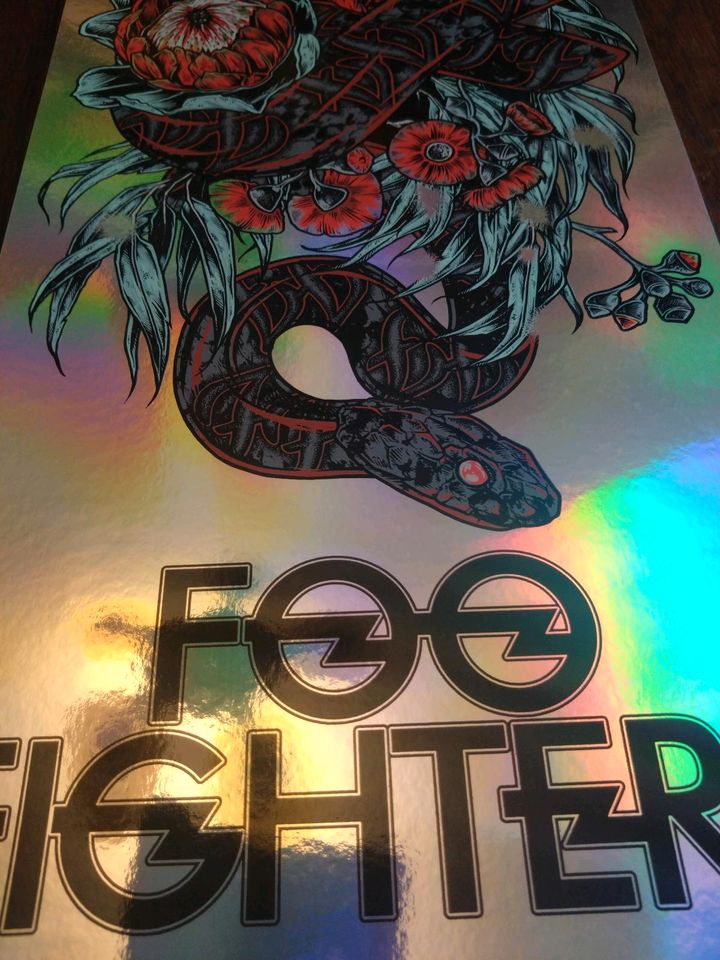 Foo Fighters Siebdruck Poster Rhys Cooper Folien Druck Limited Ed in Jena