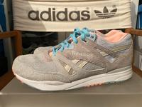 Reebok Ventilator x End „Husky“ Sachsen - Priestewitz Vorschau