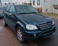 SUCHE MERCEDES BENZ ML 270 / ML 400 CDI AMG Styling Baden-Württemberg - Sulz Vorschau