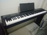 Casio CDP100 piano klavier keyboard flügel kostenlose Lieferung Baden-Württemberg - Bruchsal Vorschau