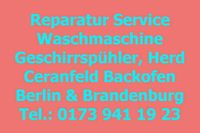 Miele Geschirrspüler Spülmaschine Reparatur Service Berlin Berlin - Mitte Vorschau