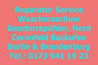 Miele Geschirrspüler Spülmaschine Reparatur Service Berlin Berlin - Mitte Vorschau