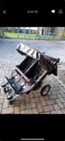 Zwilling Kinderwagen Niedersachsen - Hesel Vorschau