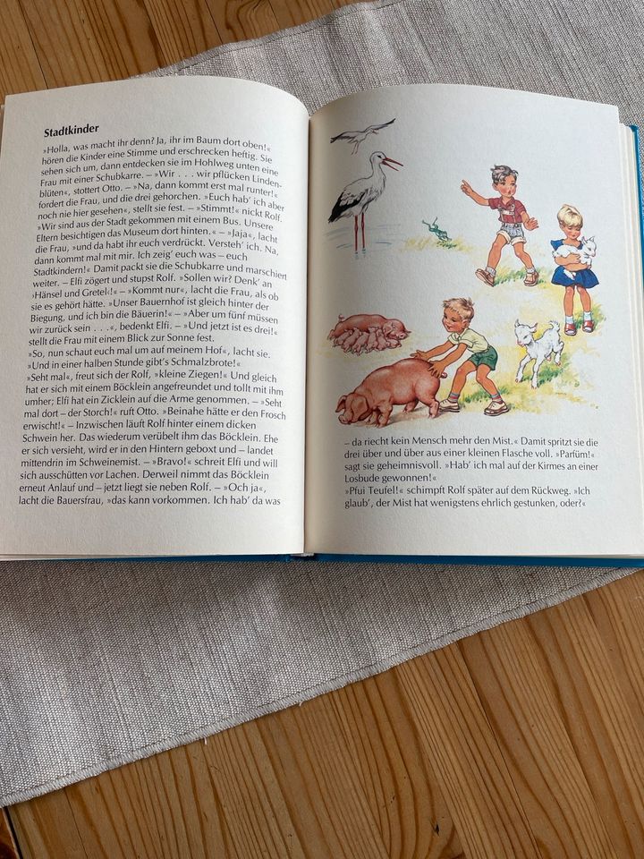 Großes Geschichtenbuch für Kinder - mit Bildern wie zu Omas Zeit in Straubenhardt