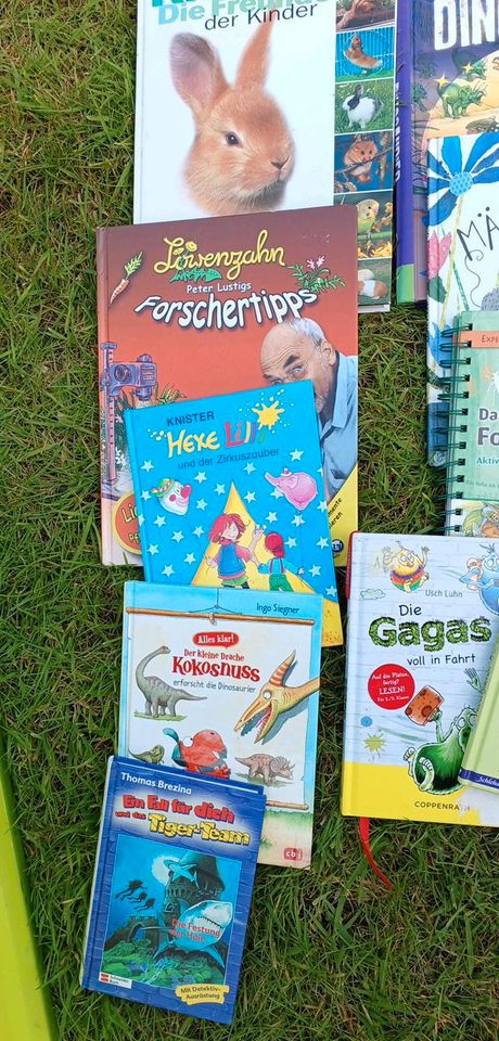 Bücher, Kinderbücher,  Hexe Lilli, Drache Kokosnuss,  Löwenzahn.. in Wietmarschen