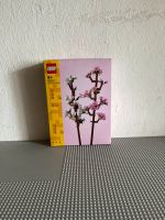 Lego 40725 Cherry Blossom Kirschblüten NEU Niedersachsen - Osnabrück Vorschau